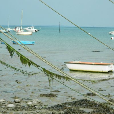 Encore quelques unes et je fais le deuil des