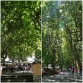 LE REVEST-LES-EAUX EN FÊTE = LE PAYS BASQUE