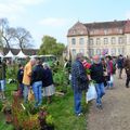 Fête des plantes Jenzat ( Allier )