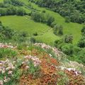 "Balcons de Bouilland", ou, "Le sentier des orchidées"