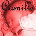 1.Camille - 2009-2011