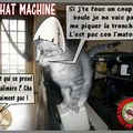 LE CHAT ET LE HERISSON