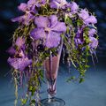 Orchidées Vanda dans une Flûte en verre Noël