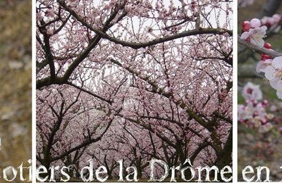 Sous le signe du Printemps