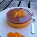 GATEAU A La Mousse d'Abricots et Au Chocolat