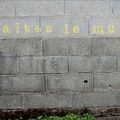 Murs en faîtes ....