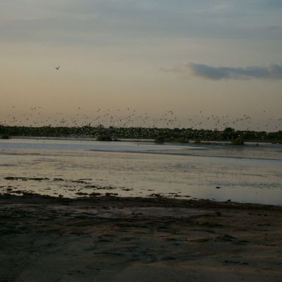 Yene, Sénégal, 2009
