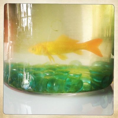 l'utilité d'un arc en ciel...