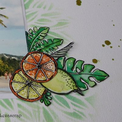 Challenge de Cartoscrap de Juin