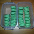 Macarons: LES COQUES !