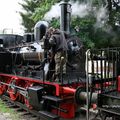 Train touristique, le Coni-Fer