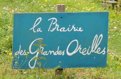 Aujourd'hui ...