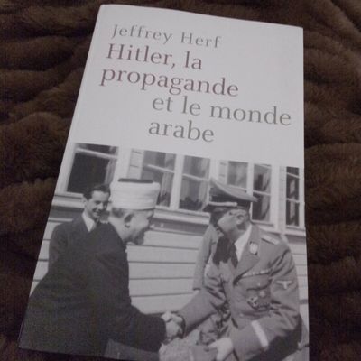 Hitler, la propagande et le monde arabe de Jeffrey Herf