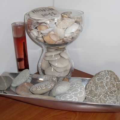 Coupes de coquillages