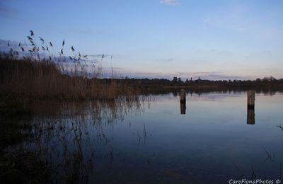 Le calme au bord de l'eau