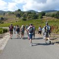 Jeudi 6 Octobre - Les Hauts de Banyuls