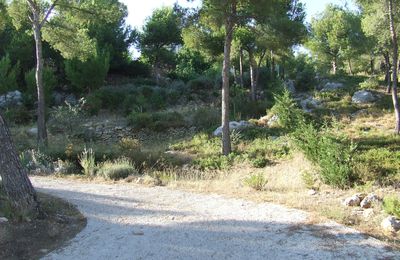 Randonnée autours de Marseille