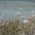 ISO 200 - Balance des Blancs : Lumière du jour.