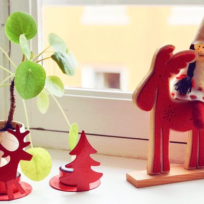 Prendre de bonnes résolutions en avance ...