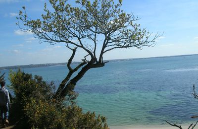 LA BRETAGNE EST SI BELLE....