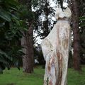 Chat sculpté dans un tronc d'arbre à Plouha