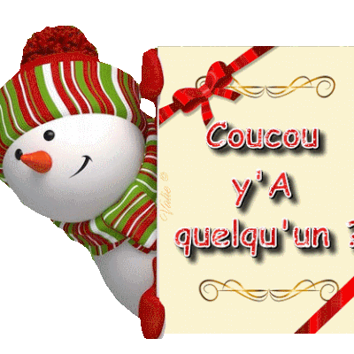 Défi chez Coltoupartou : Carnet de l'Avent !!