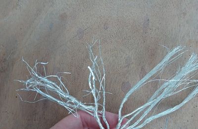 Avant-dernière longueur