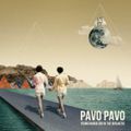 "Young Narrator in the Breakers" de Pavo Pavo : un album bien de notre époque, malheureusement...