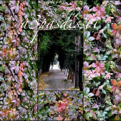 la Grèce autrement en automne