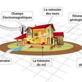 Formation accélérée géobiologie pratique et dynamique à Huy Juillet - août 2021