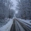La neige... et encore la neige... Il paraît que ça va durer jusqu'au milieu de la semaine prochaine !