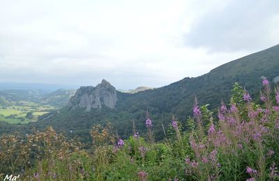 [fourre-tout des vacances] été 2016, de Bretagne en Drôme via l'Auvergne...