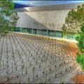 Des vignes dans l'aéroport