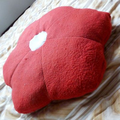 un coquelicot pour ma princesse