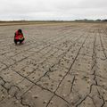 Casamance, la sécheresse empêche la riziculture