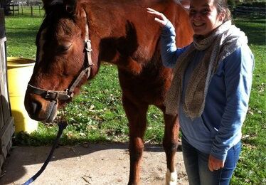 Après-midi poney