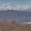 Chartreuse de Portes (Ain)