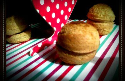 Gateau de Savoie forme macaron