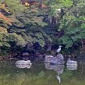 PARC MURUYAMA, KYOTO, JAPON