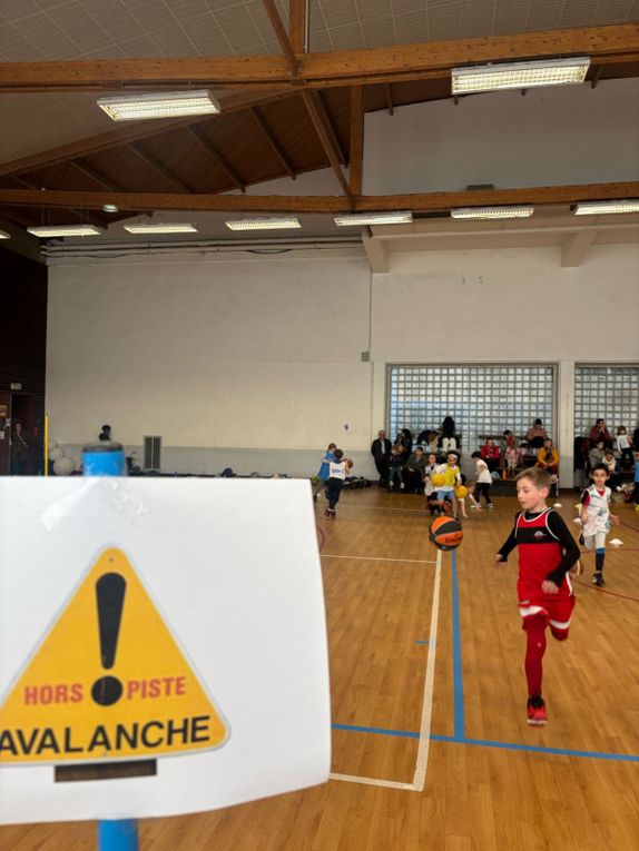 Les basketteurs font du ski