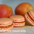 Macarons aux abricots