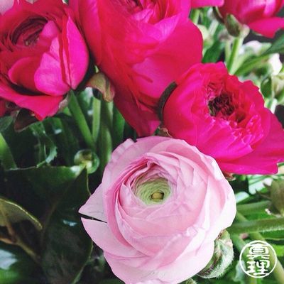 Chine sur la toile #3