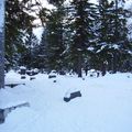 Cimetière sous la neige