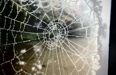 Matin de brume à Moulin-Du-Comte : Rennes le 23 octobre 2024 (1)