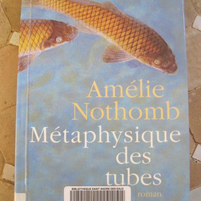 Métaphysique des tubes – Amélie NOTHOMB