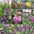Démolition et quelques fleurs