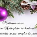 Joyeuses Fêtes de fin d'année 2022 🎅🎄🎁🎉🎇 et Exposition 