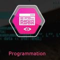 Programmation informatique : ce que SEDECO peut faire pour vous !