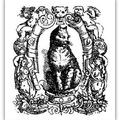 TEXTE DE 1869 - LES CHATS ET LES TRIBUNAUX