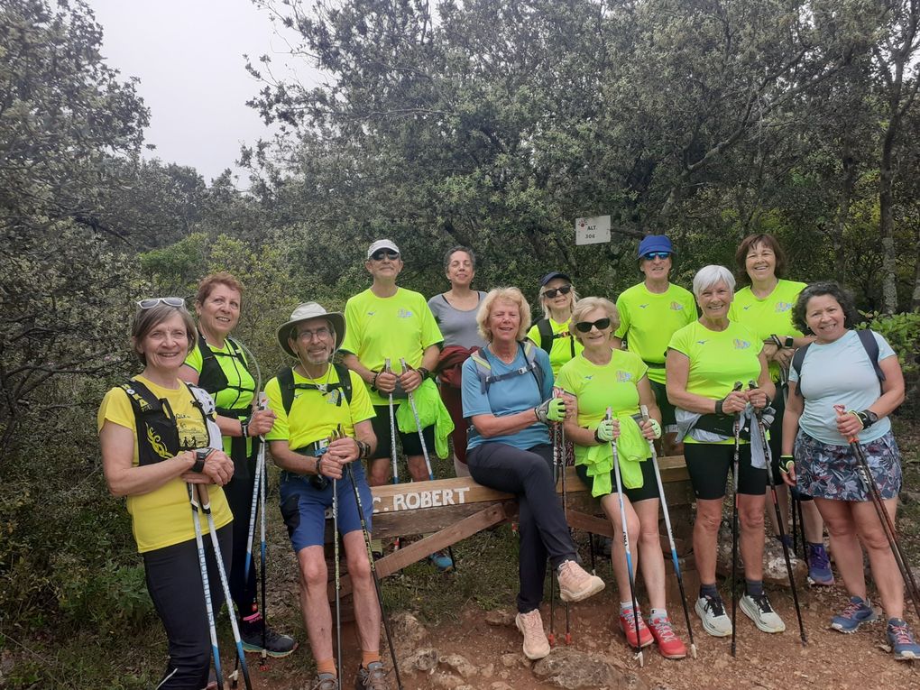 13km dans les collines de Flassans pour 13 sportifs 